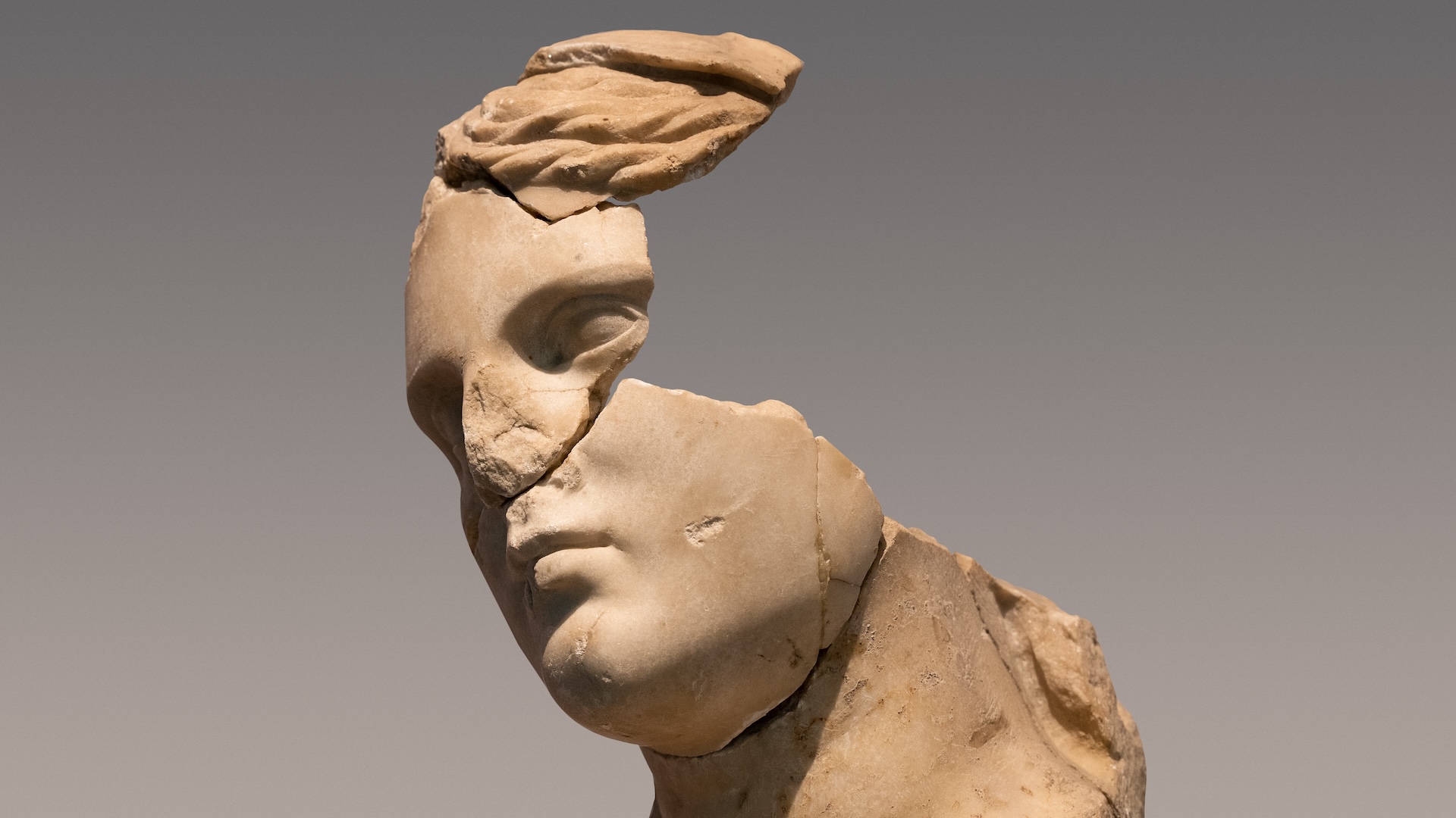 Сколько мозга нужно для выживания