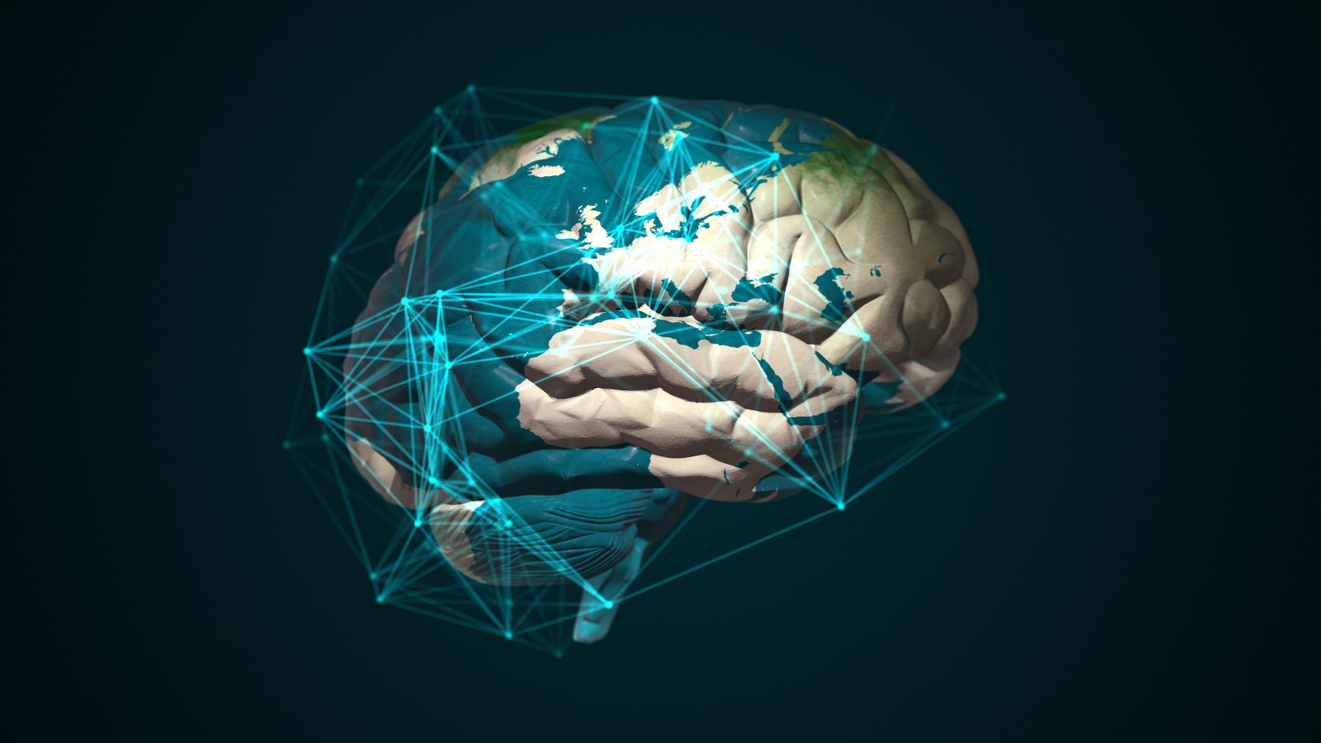 Мозг перемещается между идеями как по карте