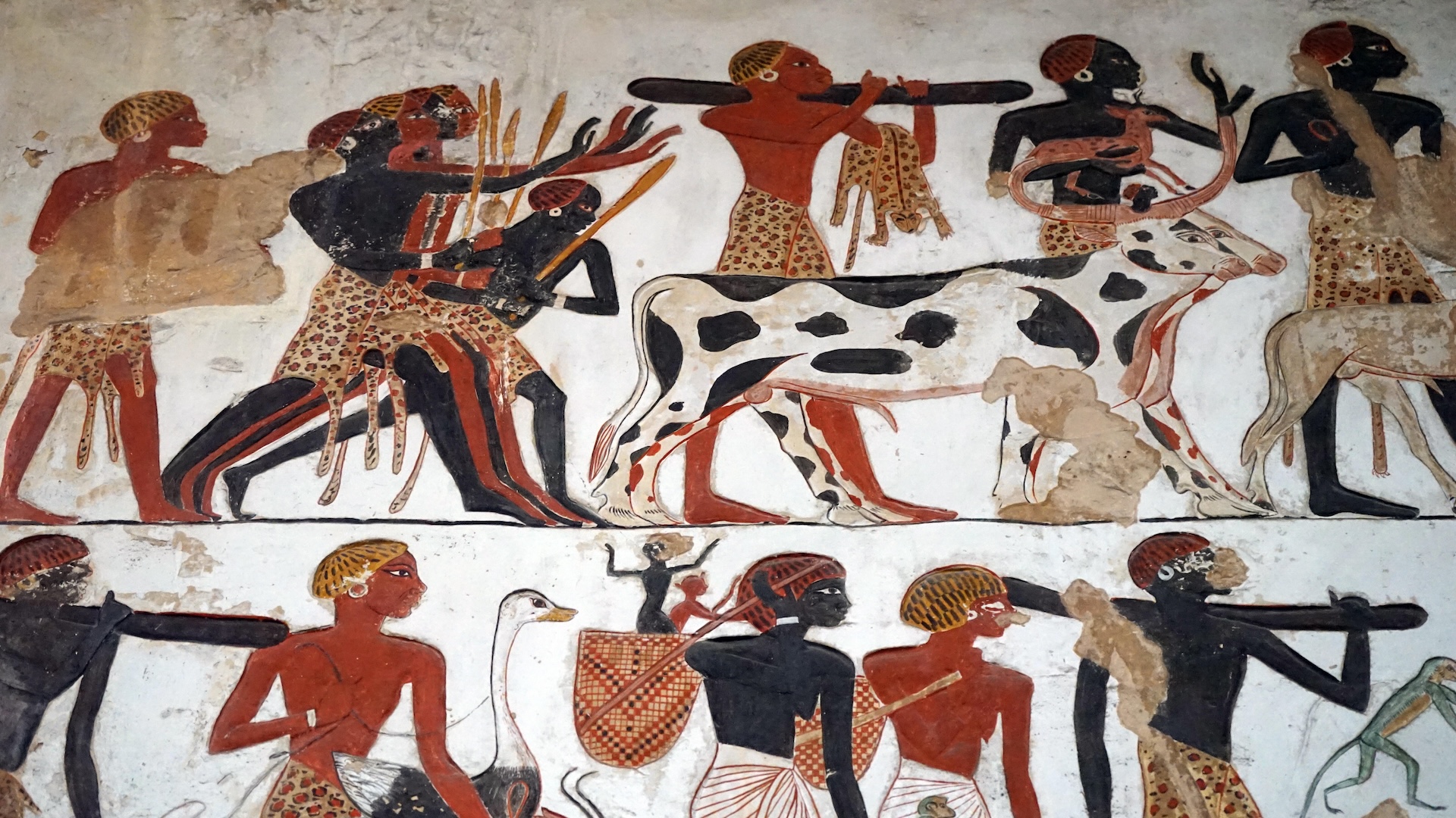 4000-летнее захоронение знатной женщины с веером из страусиных перьев раскрыло древнейшее использование головных ремней