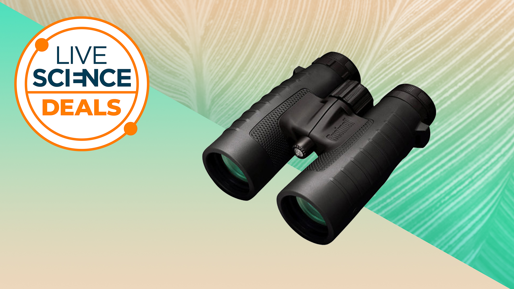 Бинокли Bushnell 10x42mm Trophy XLT теперь дешевле на 60 долларов — рекордно низкая цена в Adorama