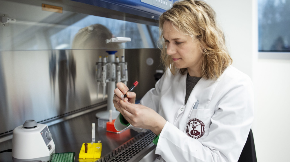 Древняя ДНК раскрывает тайны прошлого от железного века до Чернобыля