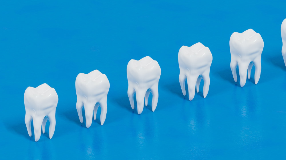 Ученые вырастили зубы в лаборатории и готовы заменить пломбы