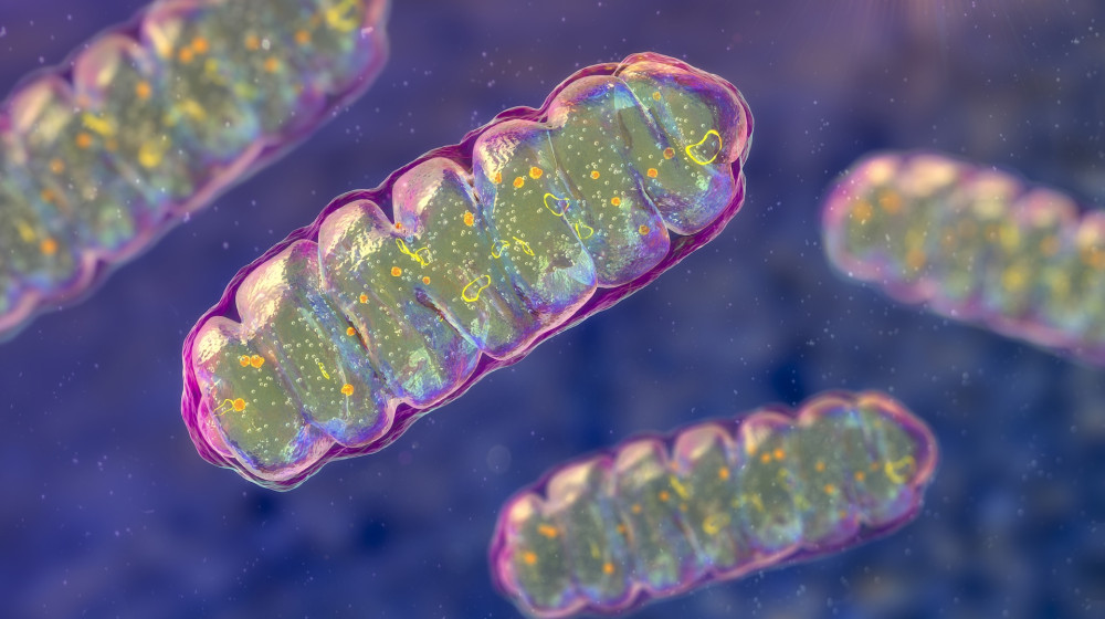 Ученые нашли молекулу способную лечить редкие митохондриальные заболевания