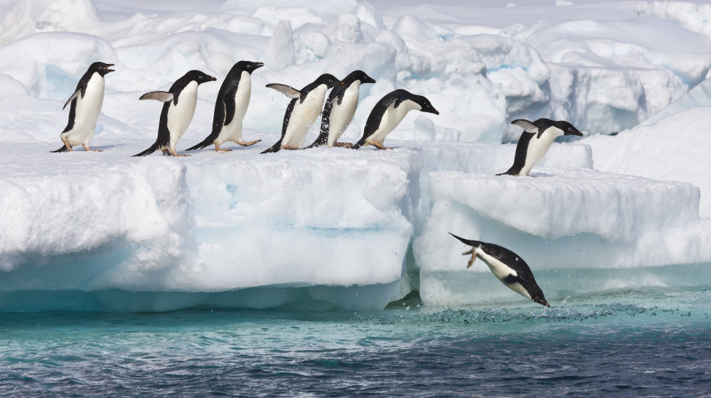 Тайны скрытые подо льдами Антарктиды
