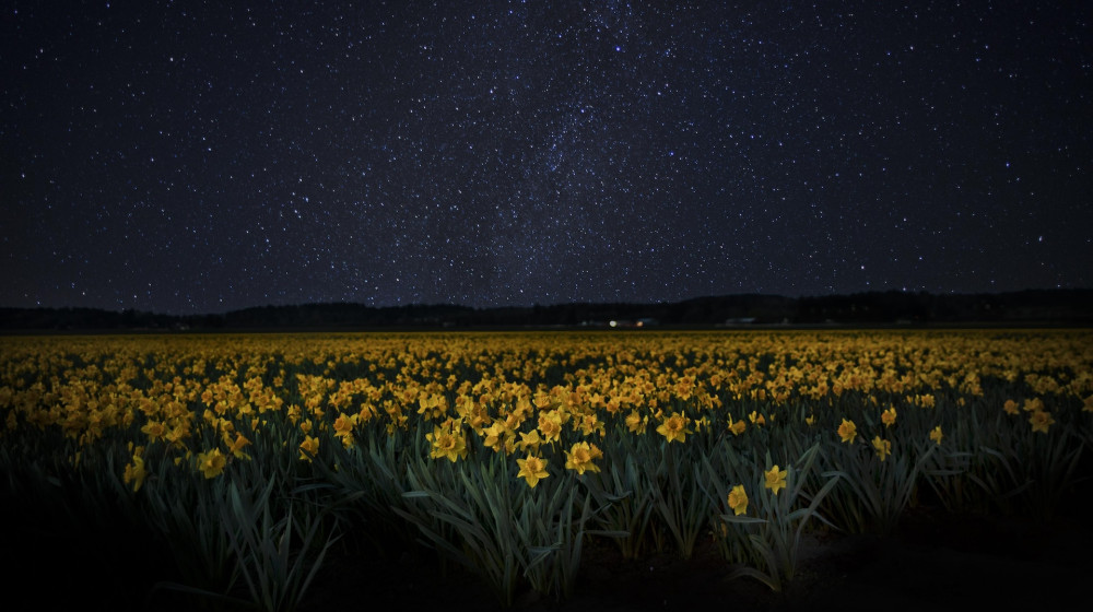 Лучшая неделя для наблюдения за звездами в мае уже началась