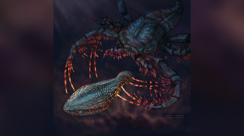 Наши зубы произошли от рыбьей брони 460 миллионов лет назад