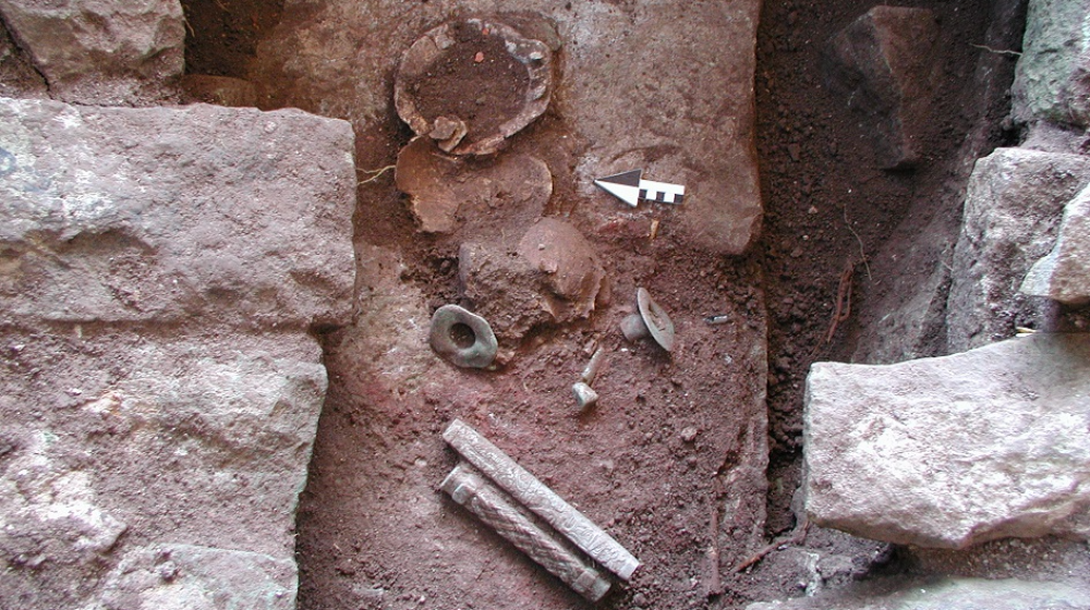 Древние геномы майя раскрыли тайну краха цивилизации 1200 лет назад