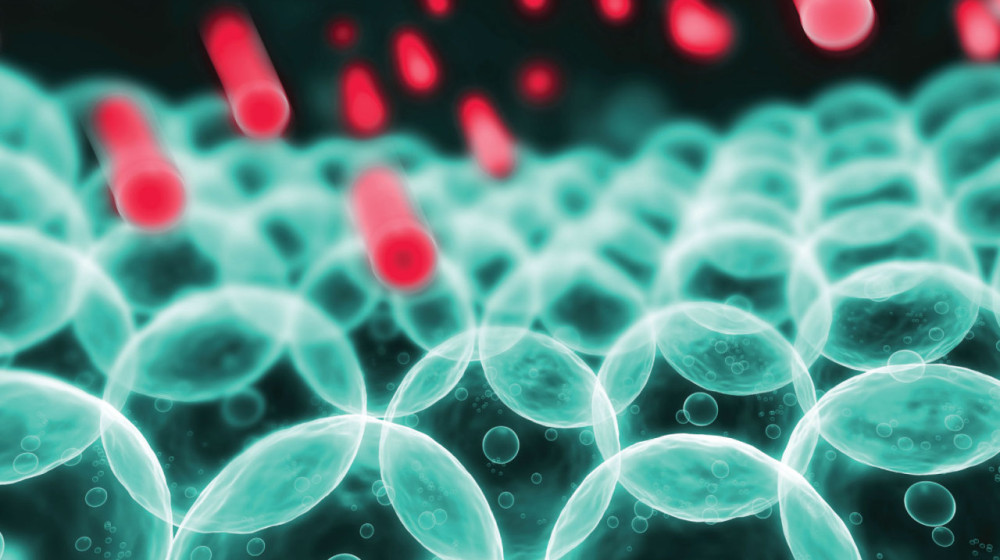 Тайна старения разгадана учеными