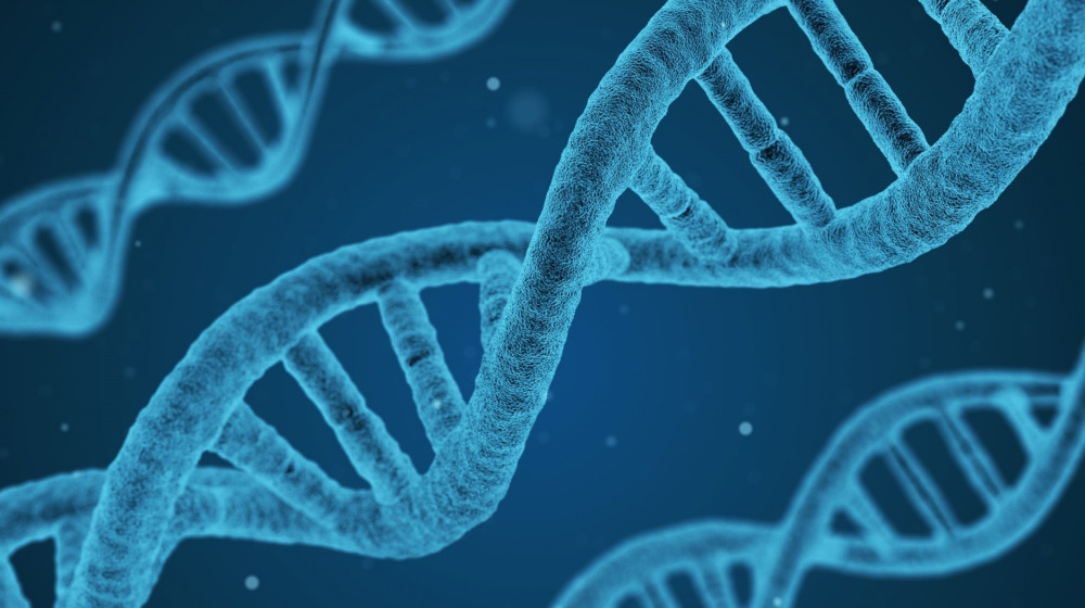 Тайны ДНК Как гены управляют нашей судьбой