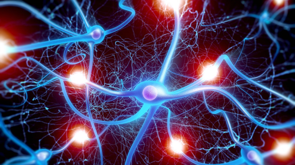 Ученые раскрыли тайну почему зевота так заразительна