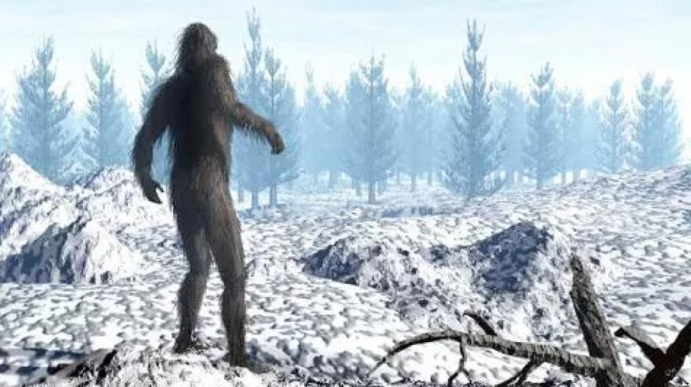 Снежный человек существует и вот доказательства