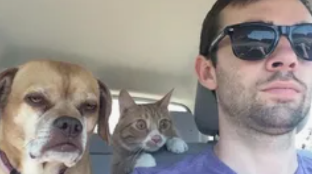 Почему скорость света на самом деле очень низкая и что это меняет в нашем понимании вселенной