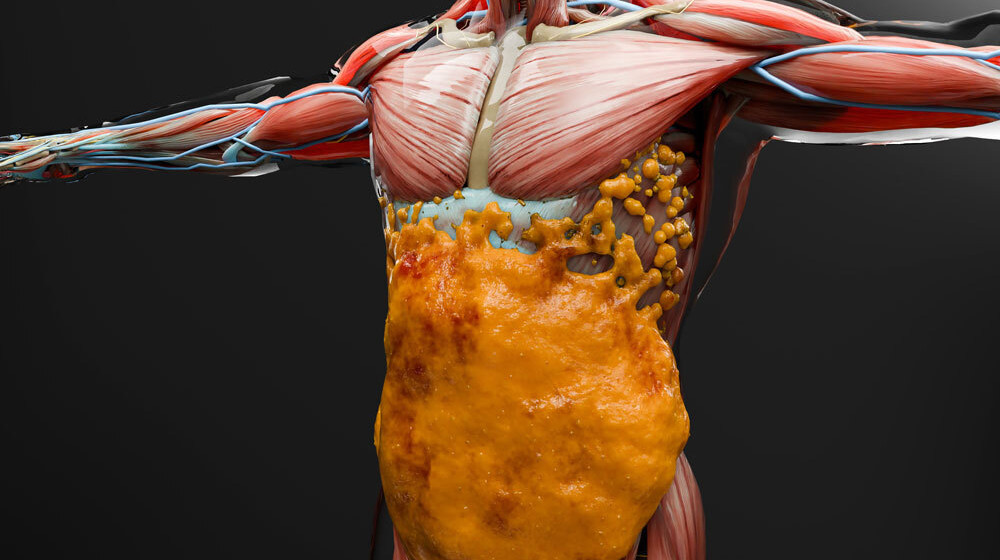 НАЙДЕН ГЛАВНЫЙ БЕЛОК, КОТОРЫЙ РЕВОЛЮЦИОНИЗИРУЕТ СЖИГАНИЕ ЖИРА