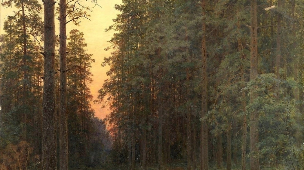 Русские леса и дороги «от которых поседели бы и младенцы»