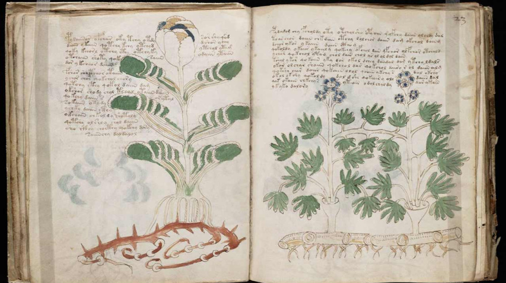 ИИ взломал тайну рукописи Войнича разгадка раскрыта навсегда