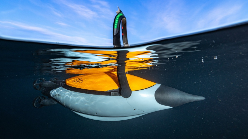 ТАЙНА ТОРПЕДЫ ШКВАЛ: КАК ПИНГВИНЫ ЛЕТЯТ ПОД ВОДОЙ