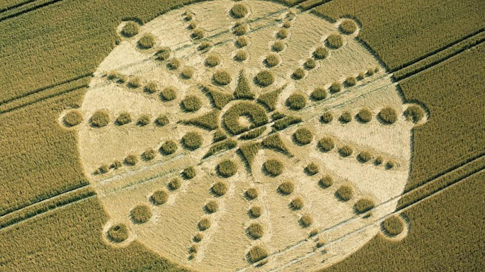 Таинственные круги на полях разгадка ближе чем кажется