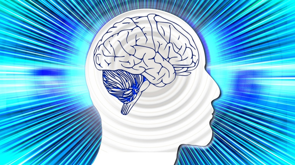 КТО ИЗЫВАЕТ ВАШИ ВСПОМИНАНИЯ И ПРОПАСТАЕТ В ПРИРОДЕ ПАМЯТИ