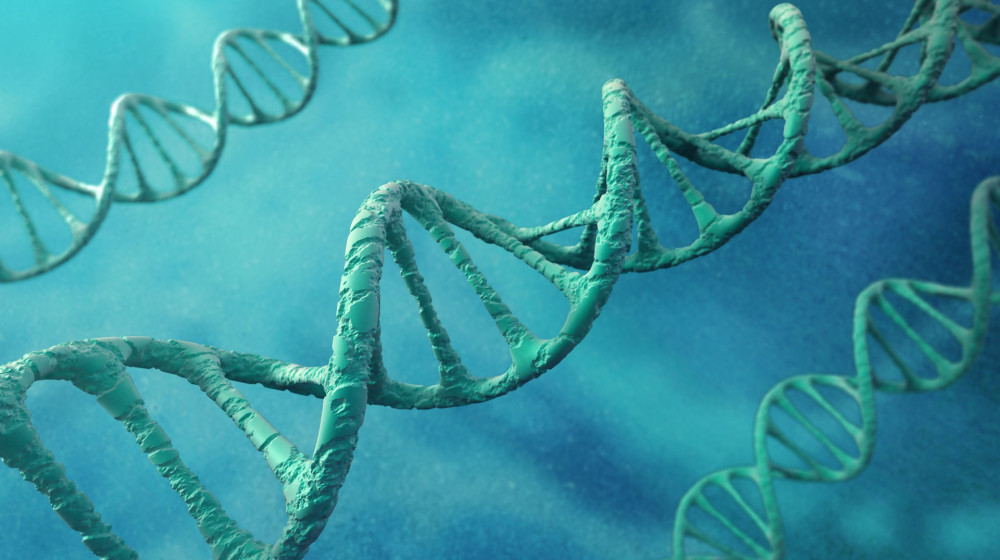 Тайна озера скелетов Раскрыты ДНК мутантов и секреты НКВД