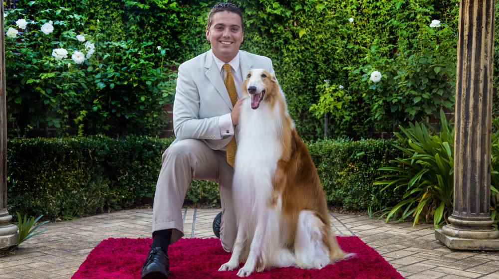 Миллиардерские псы Какие любимцы богатых управляют их судьбами