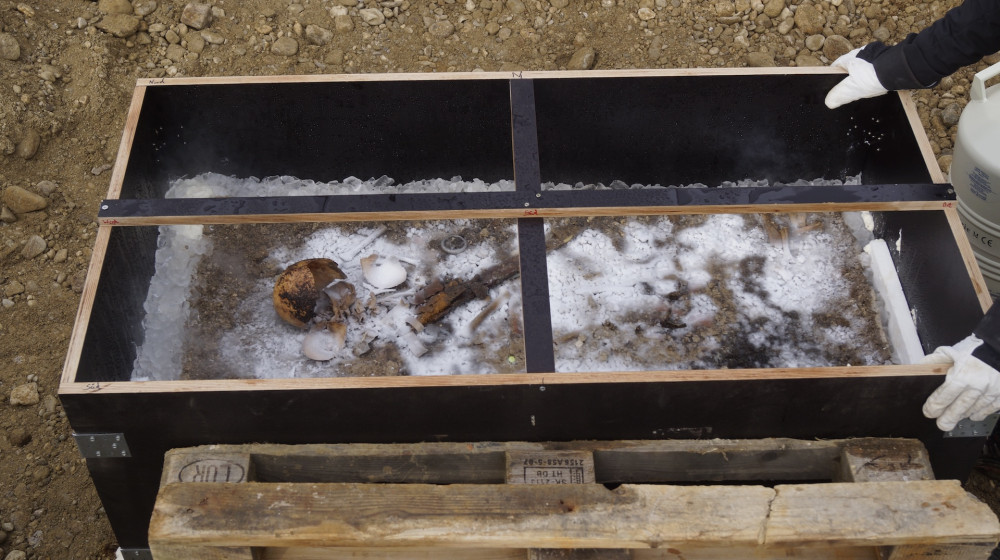  Blue-eyed 'Ice Prince' toddler was buried with a sword and a piglet 1,350 years ago in Bavaria  