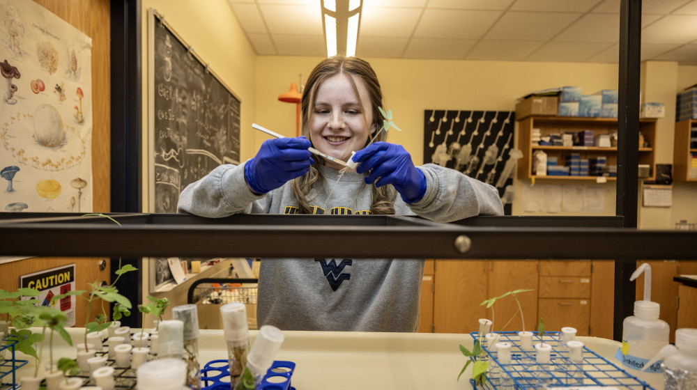 Неизведанный грибон ЛИЦИДА: студент раскрыл тайну смертельно-завораживающего открытия