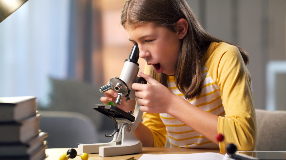  10 weird and wonderful things to look at under a microscope 