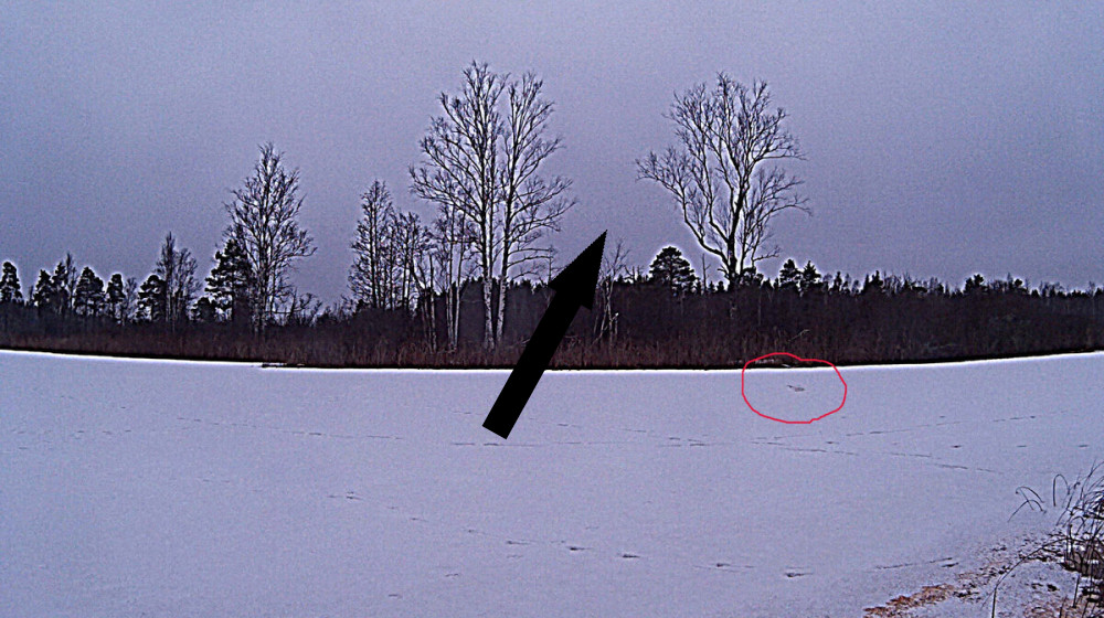 Тайна Таман Шуд: загадка исчезнувшего мужчины с загадочной смертью