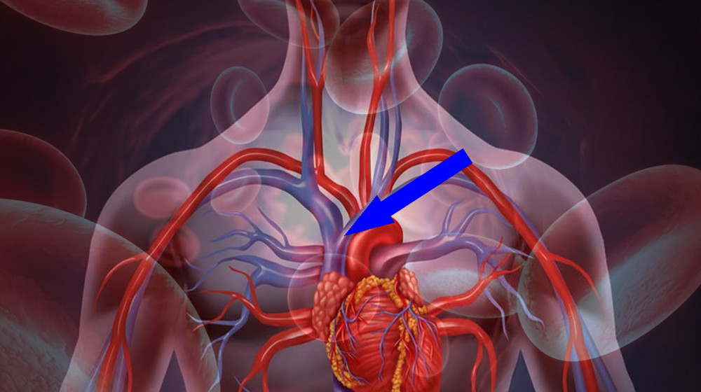 Древние знания о циркуляции крови