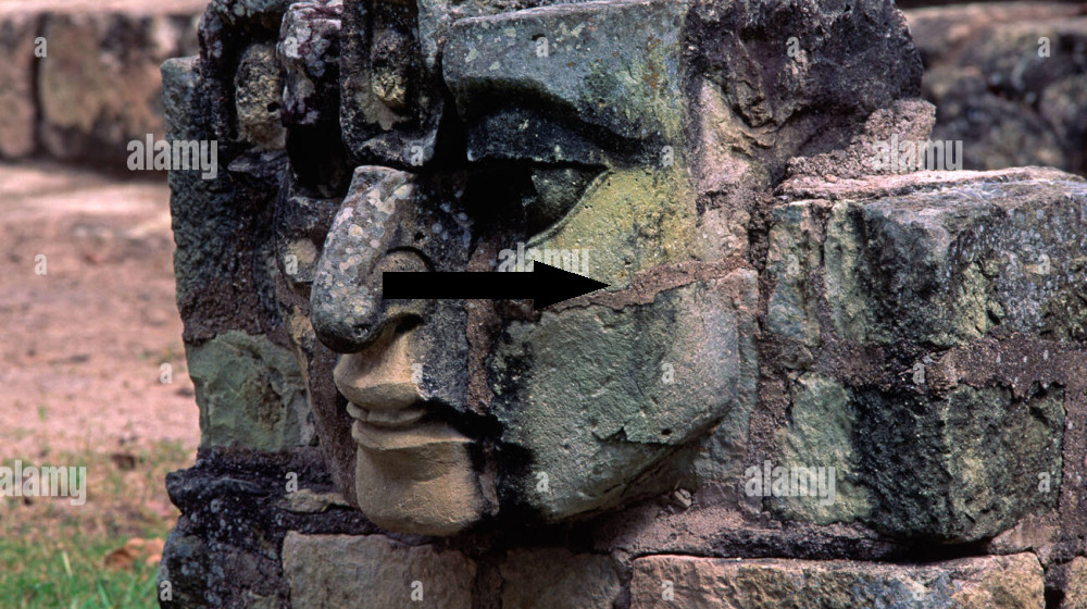 Тайна исчезновения цивилизации майя: новые археологические данные