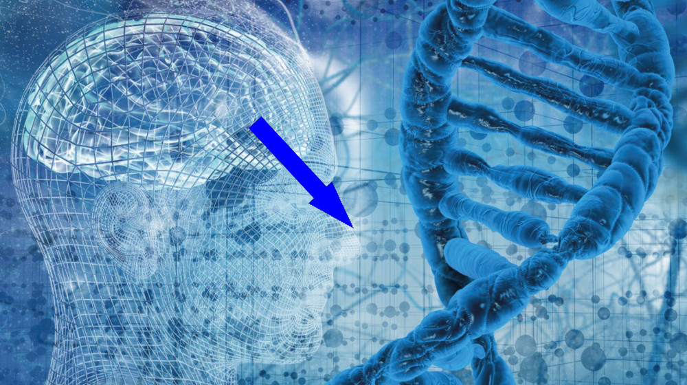 Загадка Каспара Хаузера — дикий ребенок или хитрый обманщик