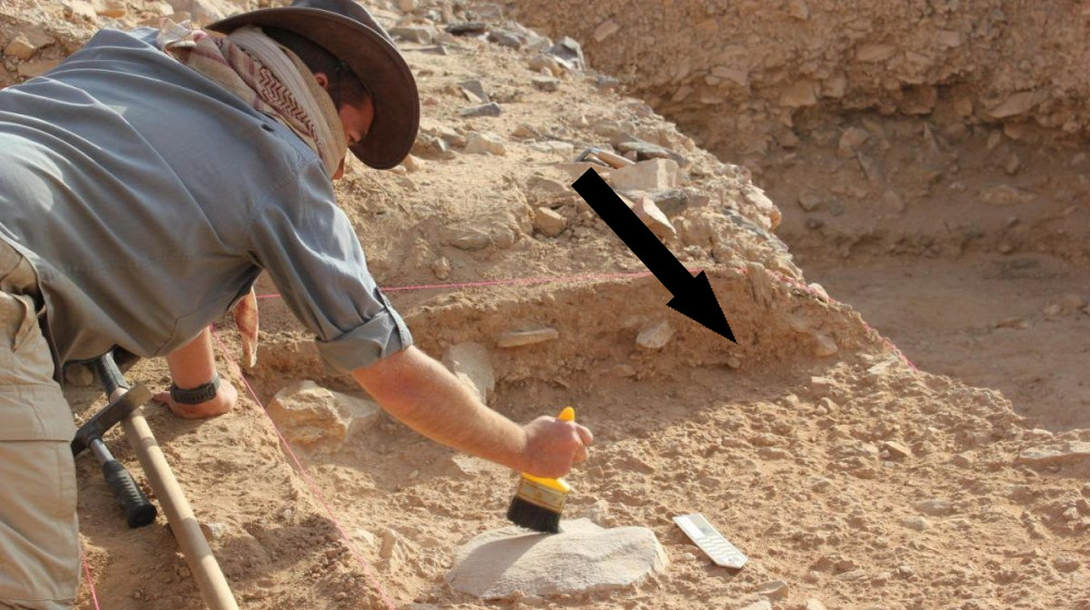 Таинственная судьба экспедиции Перси Фосетта что скрывает исчезновение легендарных искателей Золотого города