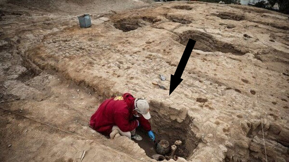 Загадка Таримских мумий: таинственные европеоиды древнего Китая