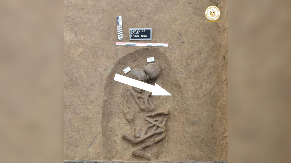 Проклятие Эци Хранит Тайну Смертей и Мистических Злоключений