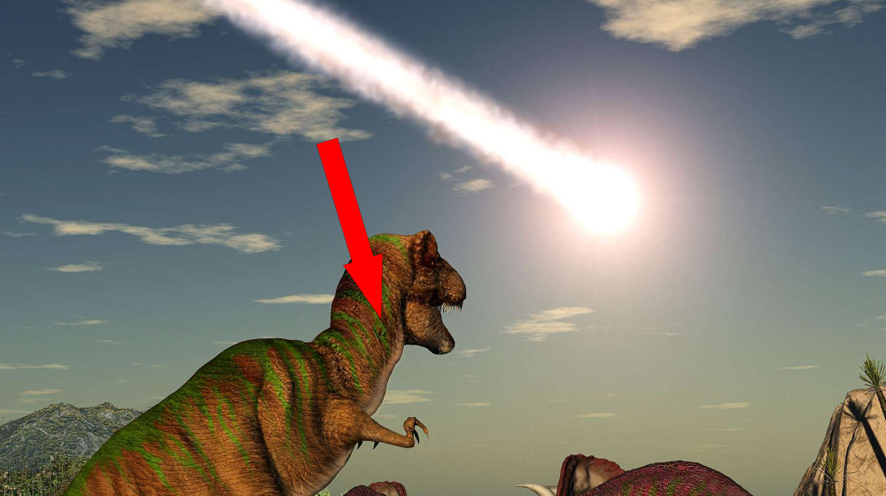 Загадка "кометы Кловис": что вызвало вымирание мегафауны в Америке