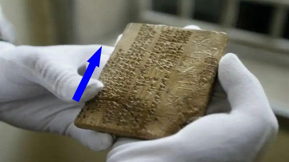 Загадочные сокровища библиотеки Грозного раскрыты ученым