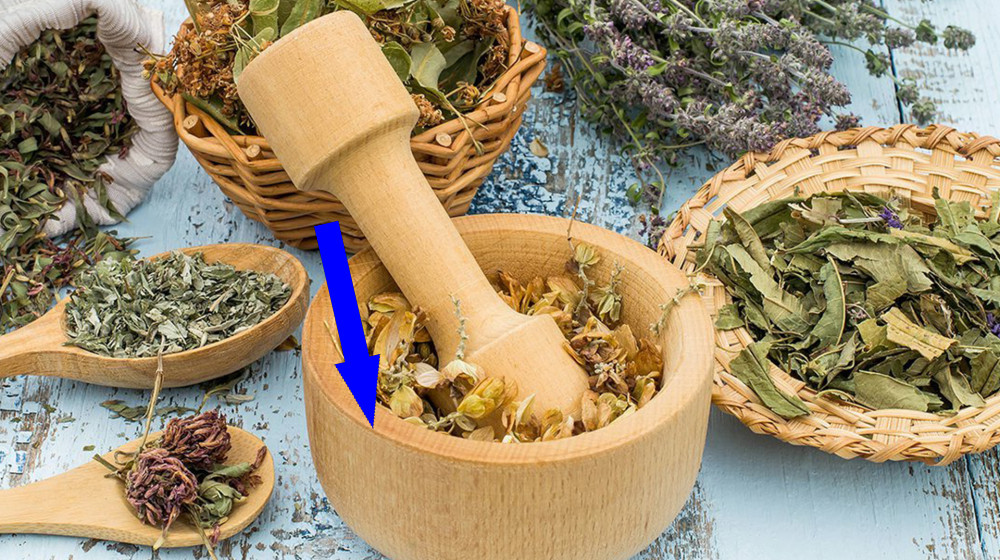 Древнерусская медицина раскрыта: тайны лечебников и травников