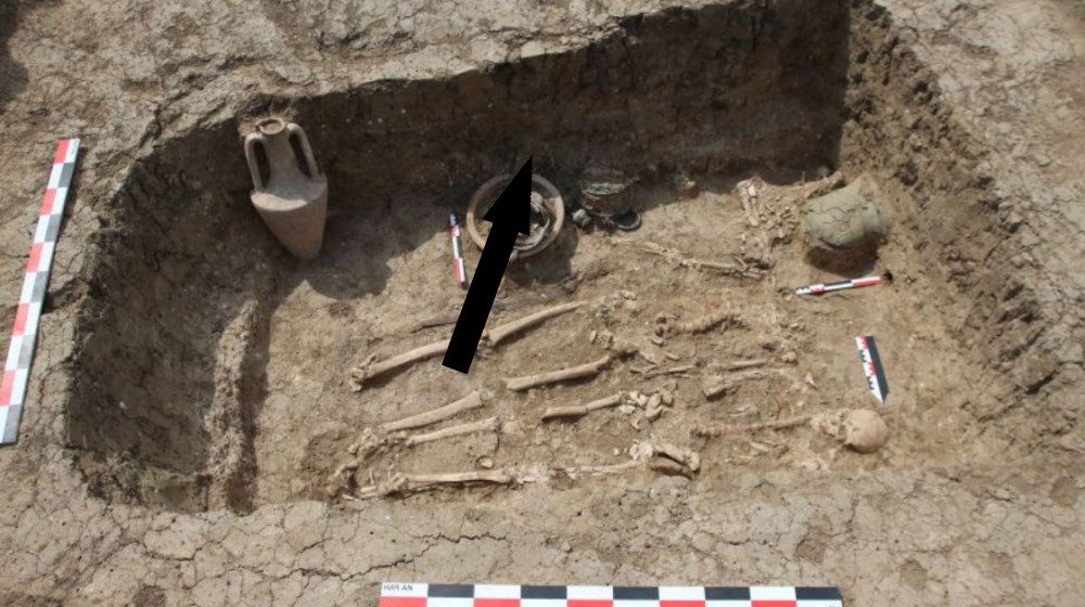 Загадка исчезновения берендеев раскрыта ученым благодаря новым открытиям