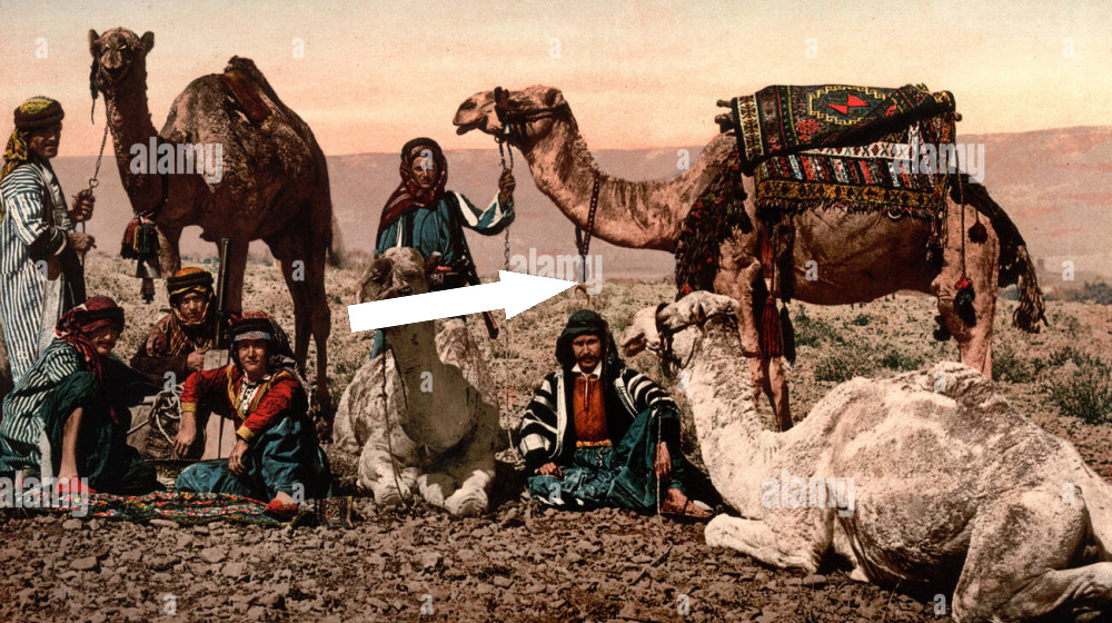 Загадка исчезновения кангаров: кто скрывался за кочевым занавесом Средней Азии