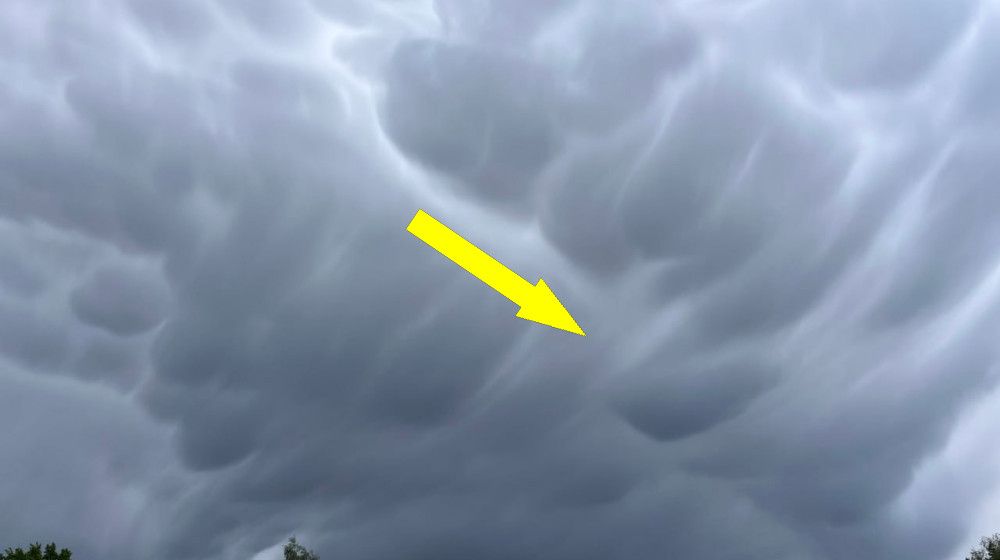 Утренняя глория в Австралии: редкое облачное явление в виде трубы