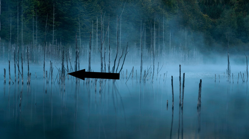 Исчезновения возле водоемов раскрывают тайну загадочных пропаж