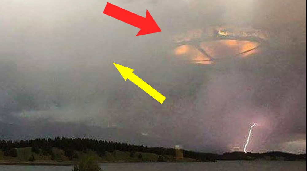 Тела снова в тех же местах Как исчезают и появляются тела в проверенных зонах