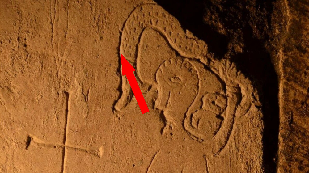 Пиктограммы в Новокубанском районе: сложные узоры, появляющиеся за ночь