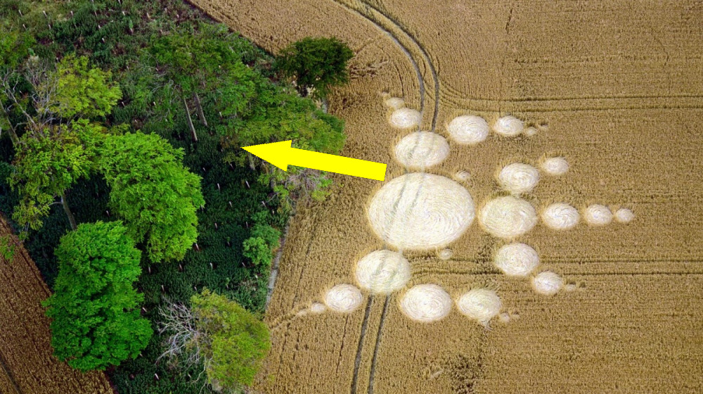 Загадка Снеговика на пшенице 1996 года раскрыта: сверхэффективная система кругов