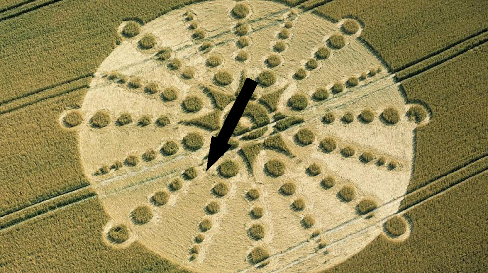 Таинственные круги на полях восстанавливаются растительностью, которая повторяет исчезнувшие узоры