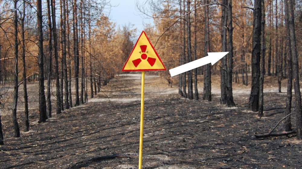 Чернобыльские временные ловушки как зона загадочных пространственно-временных аномалий