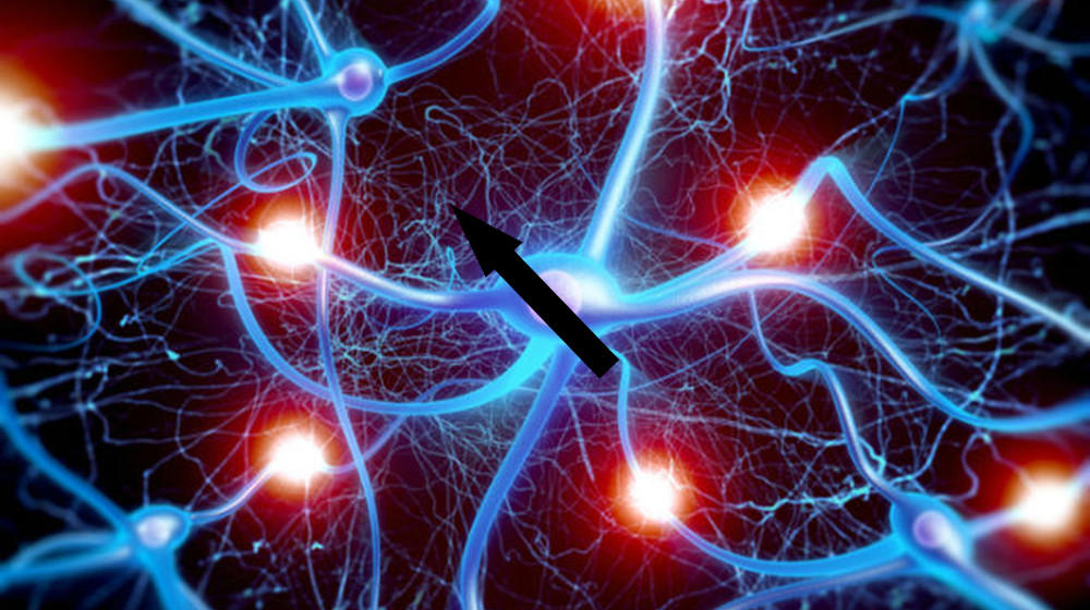 Групповые совпадения что скрывается за синхронизмом коллектива