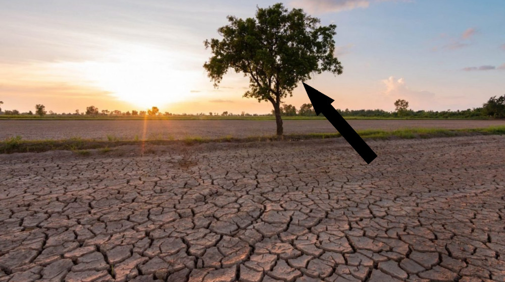 Рекордные пожары в Боливии: самая продолжительная засуха за 700 лет