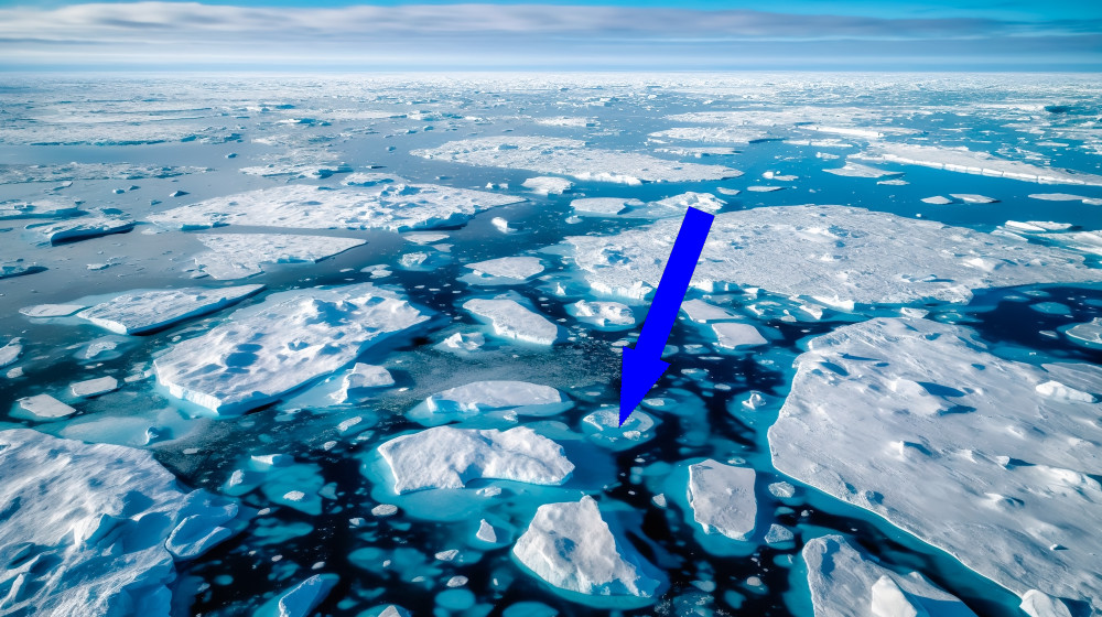 Аномальное тепло в Северном полушарии: жаркие зима, весна и лето одновременно