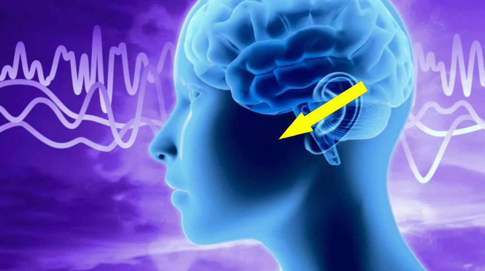 КРИЗИСНАЯ ТЕЛЕПАТИЯ: КАК МЫ МОЖЕМ ПЕРЕДАВАТЬ МЫСЛИ В МОМЕНТ ОПАСНОСТИ